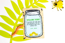 Load image into Gallery viewer, Creepy, Crawly Critter Party Package