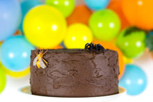 Load image into Gallery viewer, Creepy, Crawly Critter Party Package