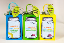 Load image into Gallery viewer, Creepy, Crawly Critter Party Package