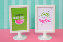 Load image into Gallery viewer, One in a Melon Pink Party Package