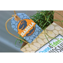Load image into Gallery viewer, Personalized Favor Bags to fill up with goodies and treats for your Dinosaur Party. These bags come in two sizes and include personalized tags to add your guest names or child name.